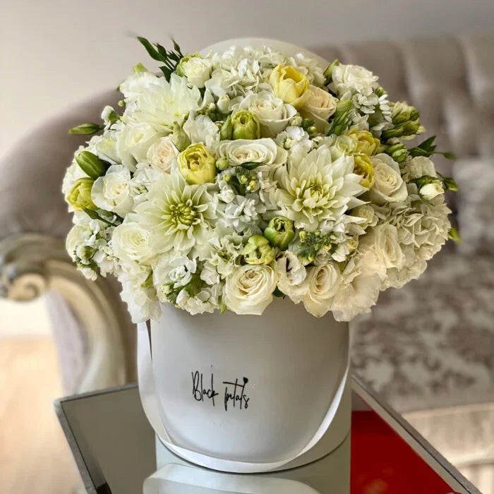 White-Full