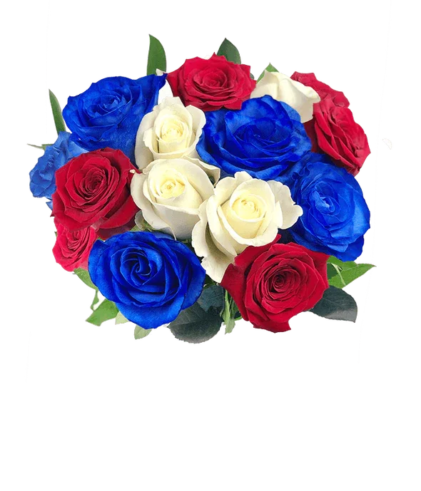 Red, White, and Blue Roses