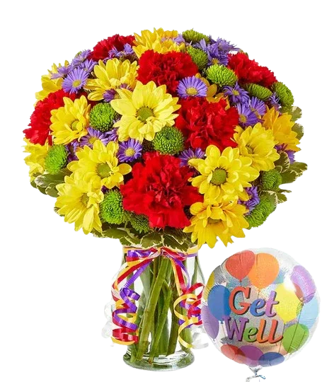 Get Well Soon (Daisies)