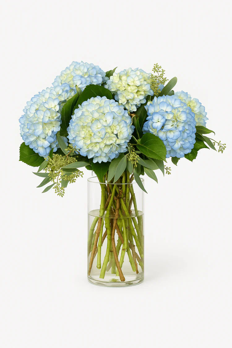 Hydrangeas