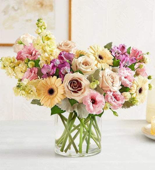 Nature’s Charm Carnation Mix