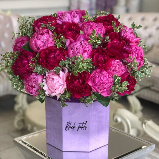 Peony Lovers Dream
