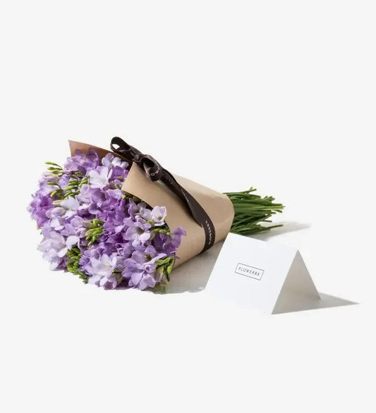 Mauve Freesia