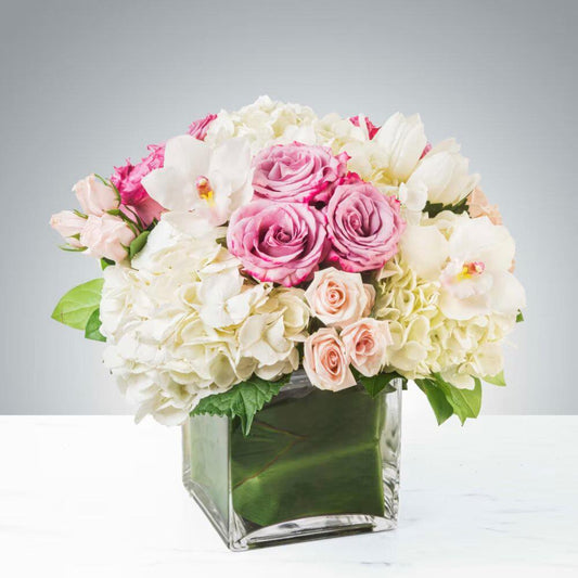 Carolina by Elite Flowers