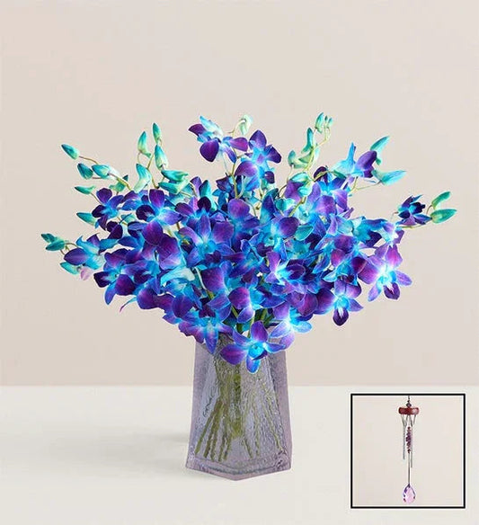 Ocean Breeze Orchids by Elite Flowers