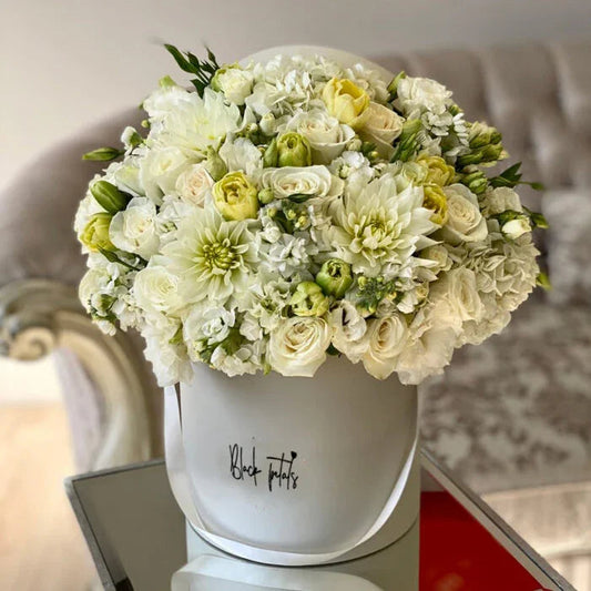 White-Full