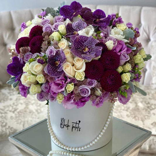 Violet Elegance