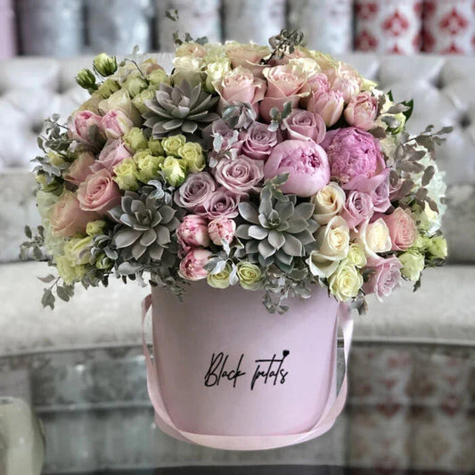 Romance with Succulents