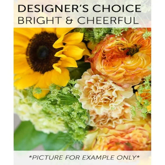 Designer’s Choice Sunny Zinnia Mix