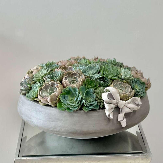 BP Succulents Vase