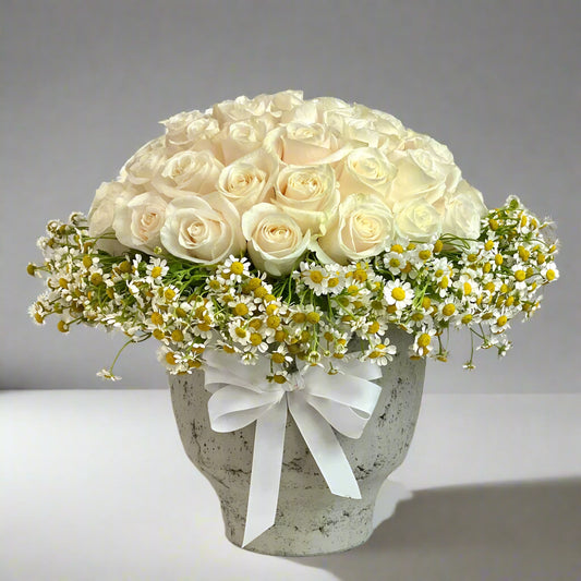 Chamomiles And 50 Roses