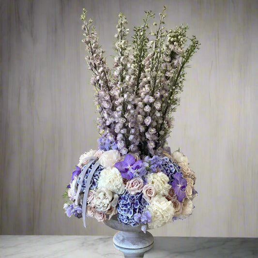 Delphinium Amour