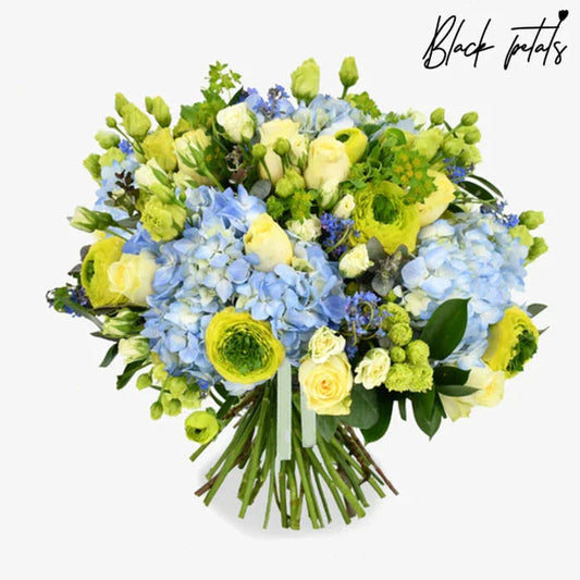 Forget Me Not