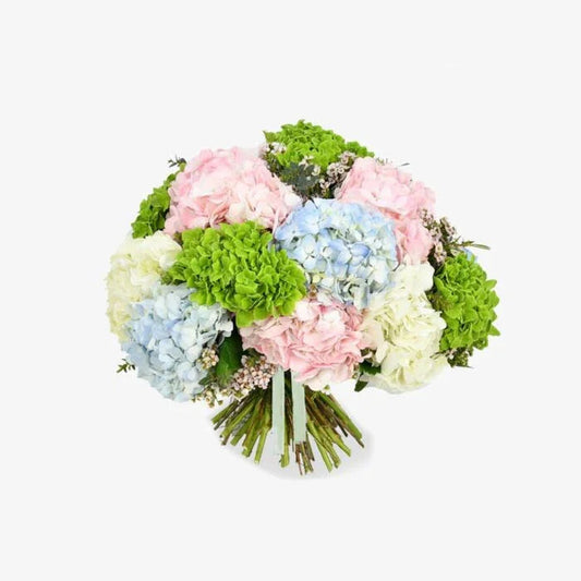Heavenly Hydrangea