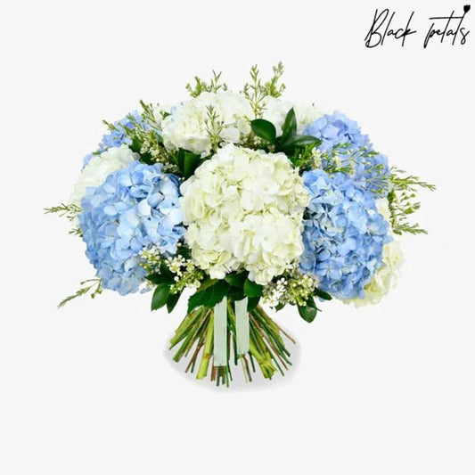 Hydrangea Delight