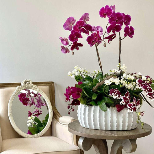 Purple Orchids Wonderland