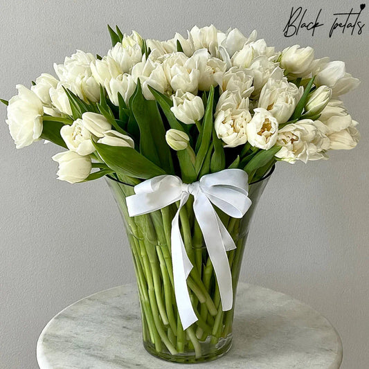 Tulip BP