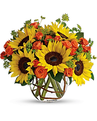 Sunny Sunflowers